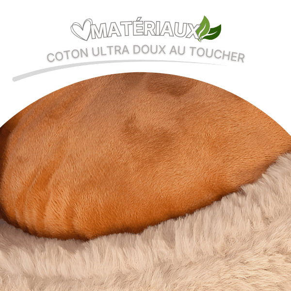 Abri chaton avec coussin en coton ultra doux conçu pour un confort enveloppant