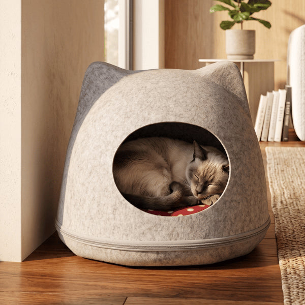 Abri pour chats accueillant un félin endormi dans son cocon relaxant