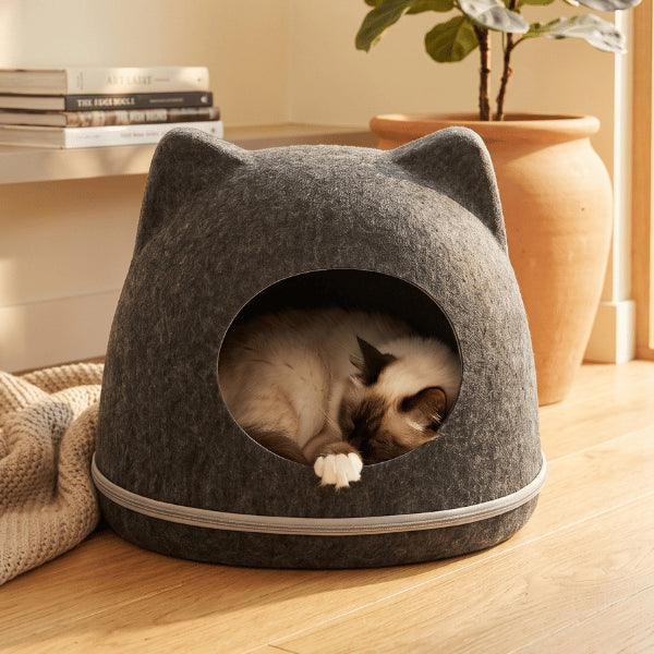Abri pour chats à entrée ronde créant un espace intime de repos