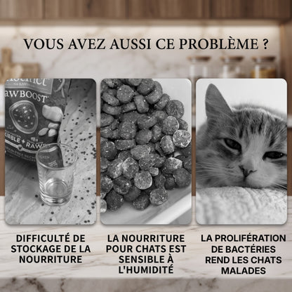 Boite croquette chat protégeant les aliments contre humidité bactéries et parasites alimentaires