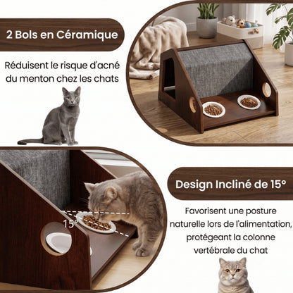 Cabane à chat avec bols inclinés favorisant une alimentation confortable et naturelle contre acné du chat