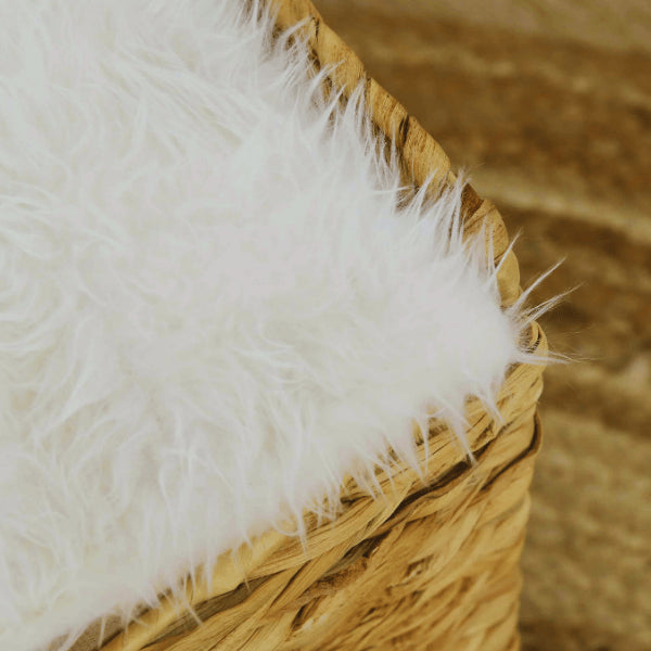 Cabane chat avec coussin ultra doux procurant chaleur et bien-être en toutes saisons