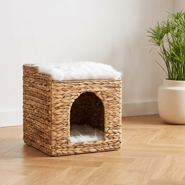 Cabane chat design en osier avec coussins doux pour repos confortable quotidien