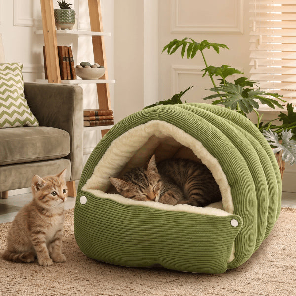 Cabane chaton cocon chauffant en velours arctique idéal pour siestes réconfortantes quotidiennes