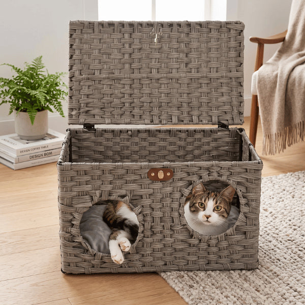 Cabane pour chat double ouverture offrant refuge spacieux sécurisé pour plusieurs félins