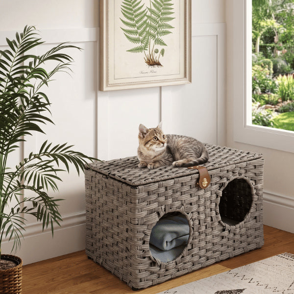 Cabane pour chat avec plateforme supérieure idéale pour observer dormir et se détendre