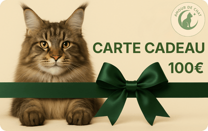 Carte cadeau chat 100 euros plaisir et bonheur félin Amour de Chat
