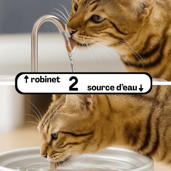 Fontaine à eau chat à double modes robinet ou source d'eau plus encourageante - Ionix™