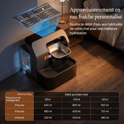 Chat distributeur eau programmable renouvelant automatiquement une eau toujours propre saine