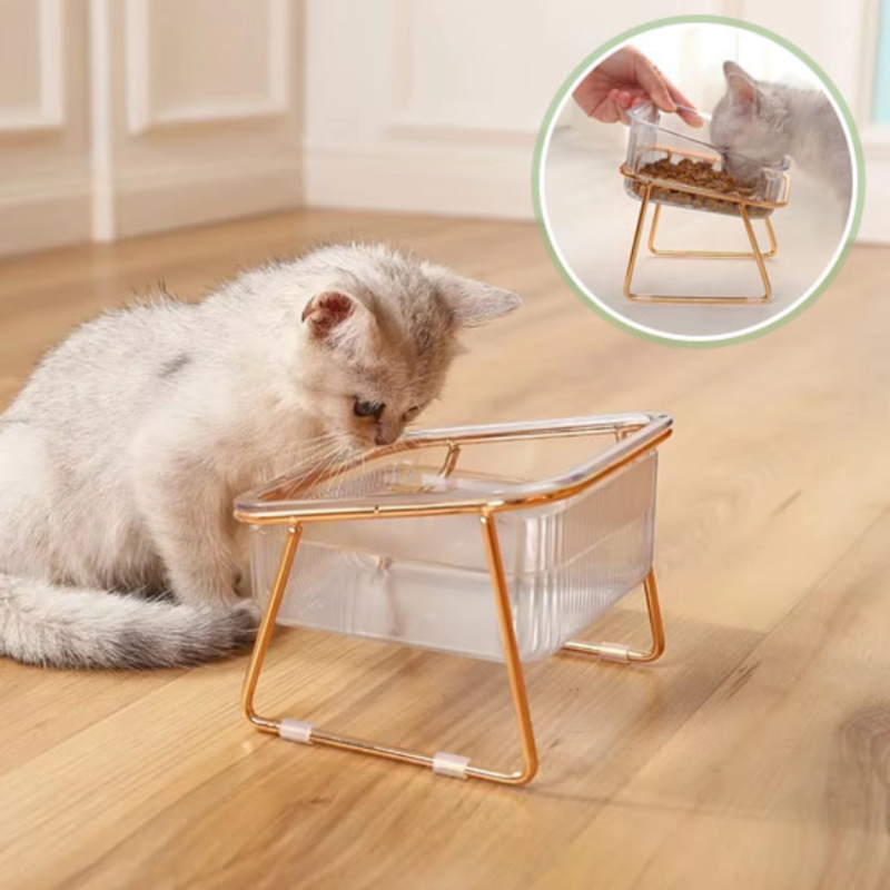 Gamelle pour chat carrée dans salon avec chaton qui boit eau - Golden-Cat™