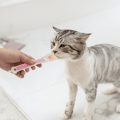 chaton qui lèche distributeur nourriture chat gris MeowSpoon™