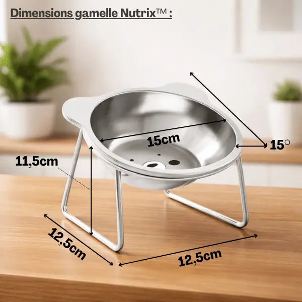 Dimensions gamelles pour chat inox surélevée design oreille de chat Nutrix™