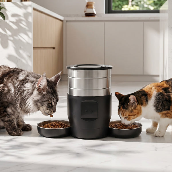 Distributeur automatique croquettes chat double pour gestion des repas à distance et contrôle gloutonnerie