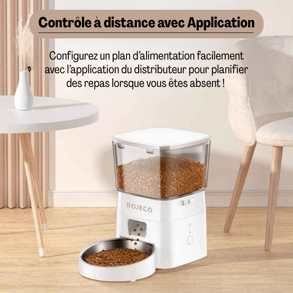 Distributeur croquette chat automatique application controle à distance