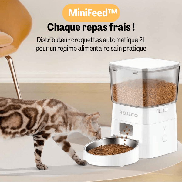 Distributeur croquette chat automatique étanche hermétique repas frais
