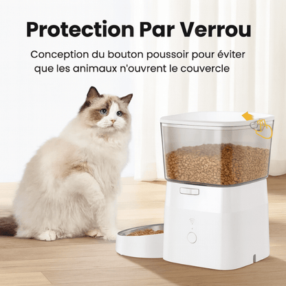 Distributeur croquette chat automatique sécurité protection couvercle moteur