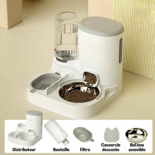 Distributeur croquettes chat eau automatique 2en1 gris bol inox amovible - LuxeBowl™