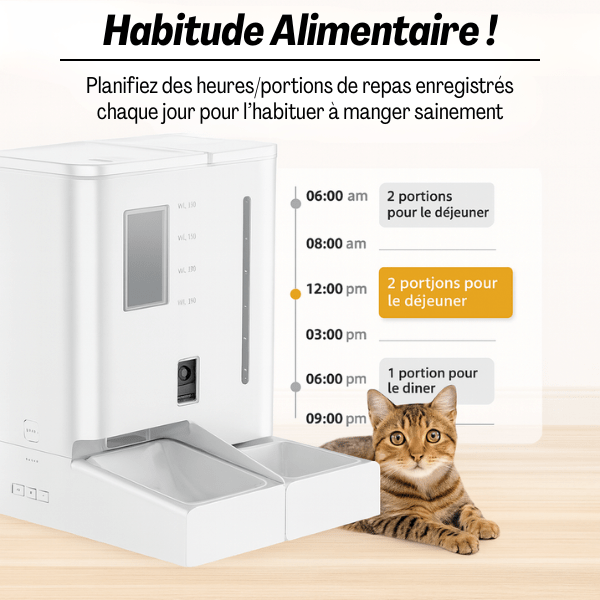 Distributeur de croquettes chat automatique et eau 2en1 habitude alimentaire repas réguliers - FullFeeder™
