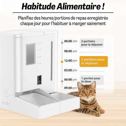 Distributeur de croquettes chat automatique et eau 2en1 habitude alimentaire repas réguliers - FullFeeder™