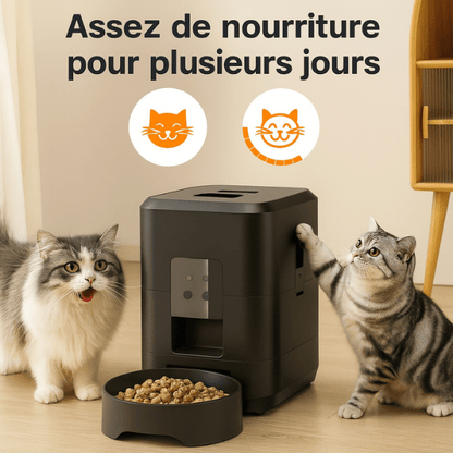 Distributeur de croquettes pour chat autonome autonomie 2L plusieurs jours | CroqTech™