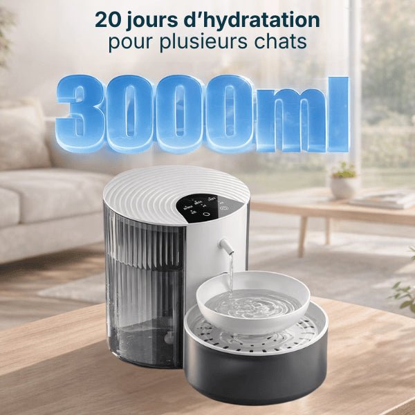 Distributeur eau chat 3L offrant 20 jours d'hydratation longue durée pour plusieurs chats