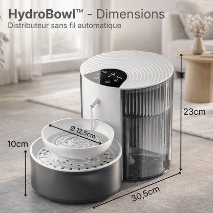 Distributeur eau chat automatique montrant dimensions et format du réservoir