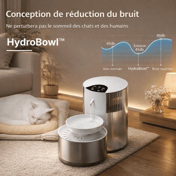 Distributeur eau chat automatique silencieux respectant sommeil des chats