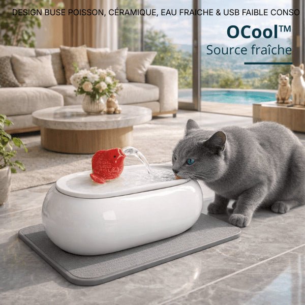 Chat gris buvant dans un distributeur d’eau pour chat en céramique blanche avec jet en continu – OCool™