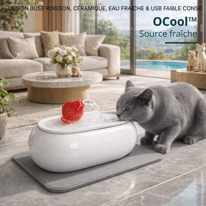 Chat gris buvant dans un distributeur d’eau pour chat en céramique blanche avec jet en continu – OCool™