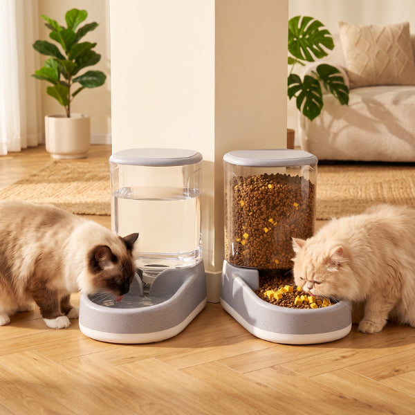 Distributeur eau croquette chat idéal pour séparer repas de plusieurs chats