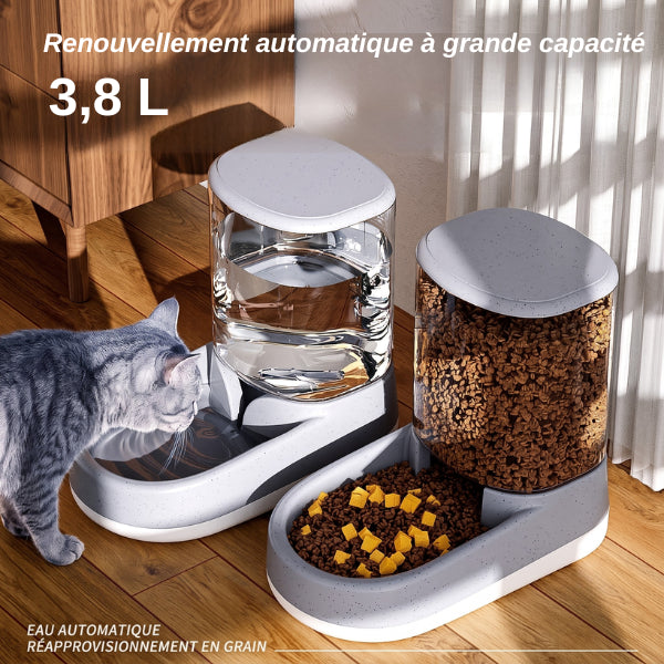 Distributeur eau croquette chat grande capacité 3,8 litres pour alimentation autonome prolongée
