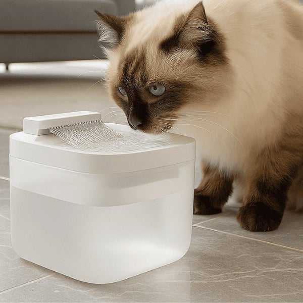 Bol d'eau en hauteur confortable de la fontaine à eau pour chat multi-jets