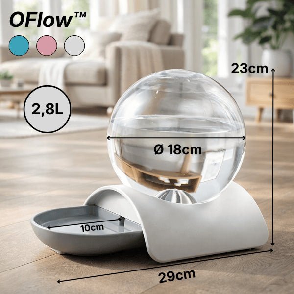 Distributeur eau pour chat sans électricité et sans filtre avec dimensions détaillées capacité 2,8 L 3 couleurs au choix