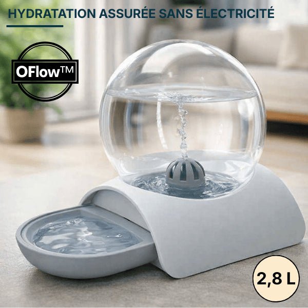 Distributeur eau pour chat sans fil et sans filtre capacité 2,8 L pour une hydratation assurée sans électricité