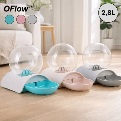 Distributeur eau pour chat sans fil et sans électricité décliné en plusieurs couleurs décoratives