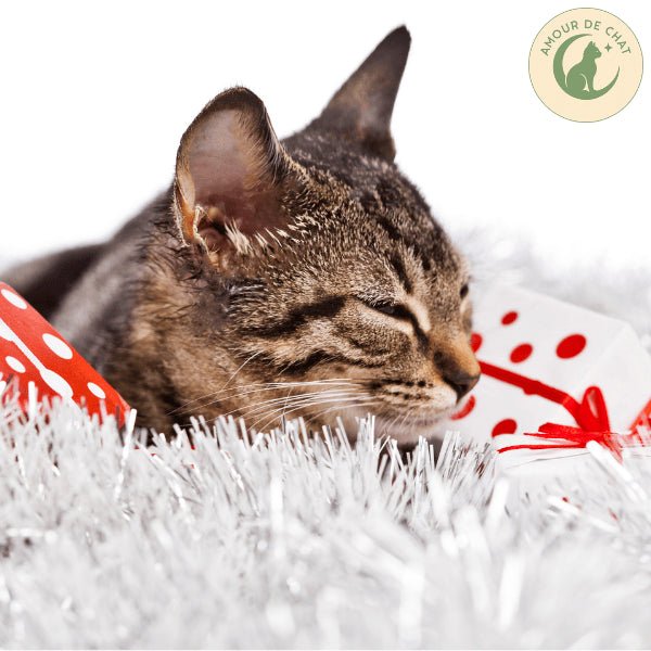 Félin tigré content qui dort apaisé avec cadeau chat Amour de Chat plaisir bonheur