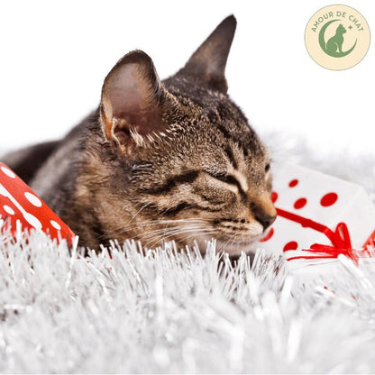 Félin tigré content qui dort apaisé avec cadeau chat Amour de Chat plaisir bonheur