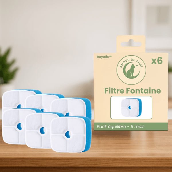 Filtre distributeur eau chat performant longue durée pack équilibre par 6 pour Royalis™