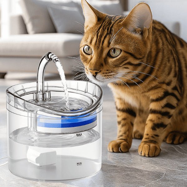 Fontaine à chat transparente à robinet pour stimuler l'envie de boire et repérer la qualité d'eau - Crystalis™