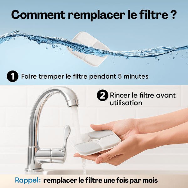 Comment remplacer le filtre de la fontaine à chat facilement - Royalis™