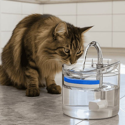 Fontaine à chat transparente à robinet qui stimule l'envie de boire du maine coon - Crystalis™