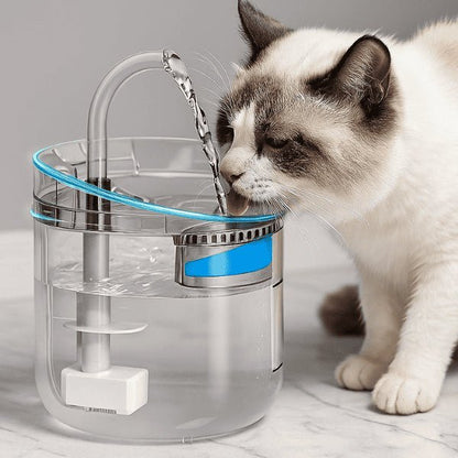 Chat qui boit au robinet de la fontaine à chat transparente filtrée - Crystalis™