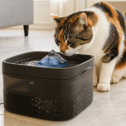 Fontaine à chat grande capacité filtrée à buse eau de source - Royalis™