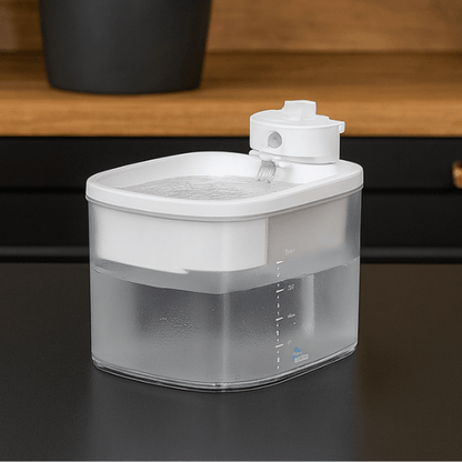 Fontaine a eau chat sans fil batterie détecteur présentée dans cuisine DetectFlow