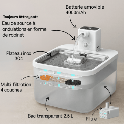 Fontaine a eau pour chat multi-filtration bac inox transparent capacité 2,5 L Olyss™