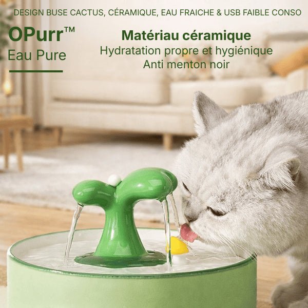 Chat buvant à une fontaine en céramique hygiénique anti menton noir avec double jet cactus et eau filtrée – OPurr™