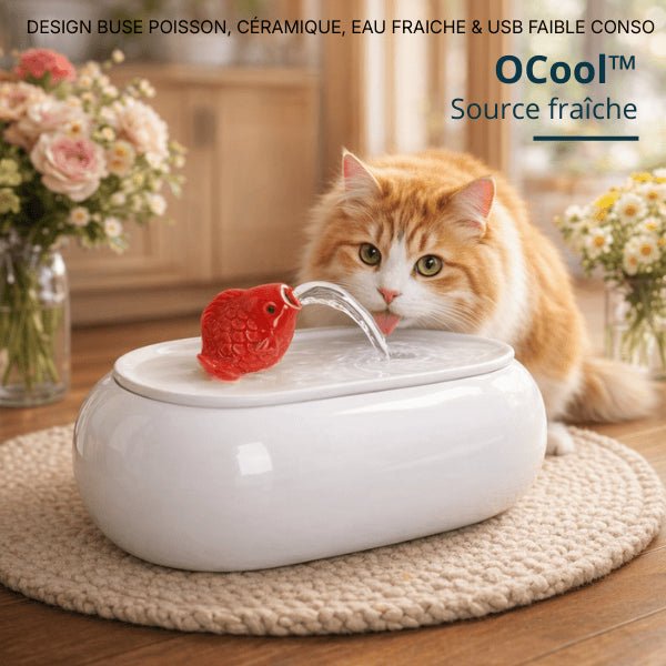 Chat roux buvant dans une fontaine chat blanche en céramique avec jet d’eau doux et continu – OCool™