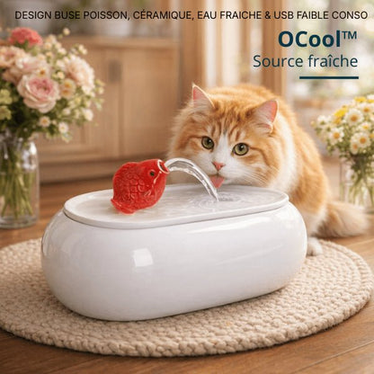 Chat roux buvant dans une fontaine chat blanche en céramique avec jet d’eau doux et continu – OCool™