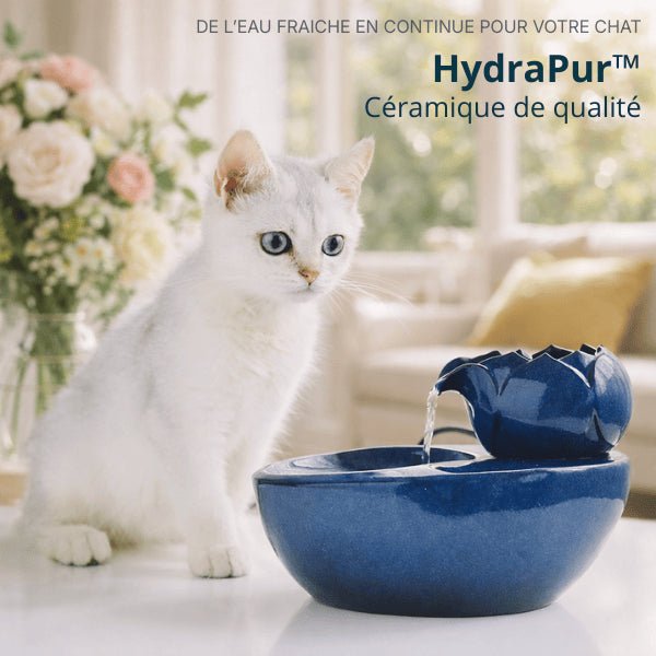 Fontaine à eau chat en céramique bleu brillant design lotus pour décoration intérieure – HydraPur™