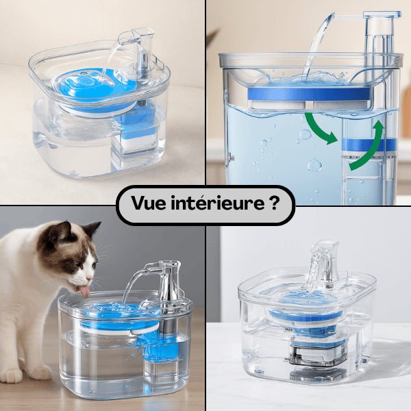 Fontaine chat filtrée vue intérieure eau circulation propre et saine hydratation optimale Vortex™
